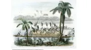 Arquitecturas cimarronas, el legado afrodescendiente que pocos conocían