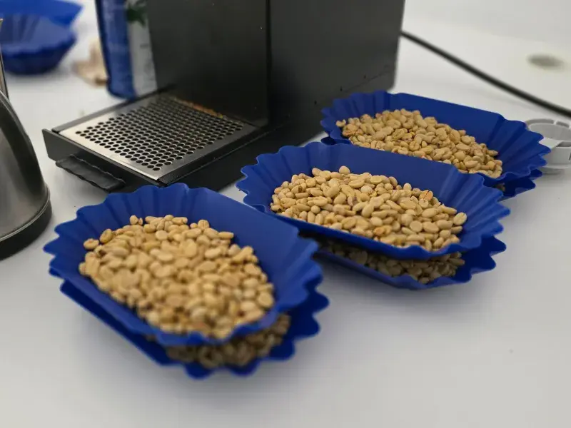 Caficultores fortalecen sus competencias técnicas con la Credencial en Café de la Javeriana Cali 